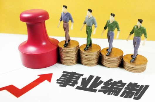 事业单位(政府设立的社会服务组织)
