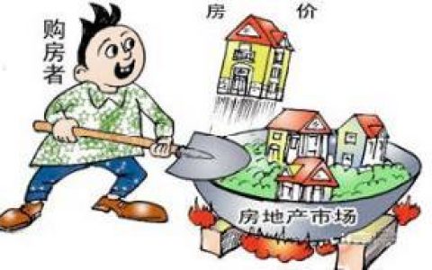 小产权房(农民集体土地上建设的房屋)