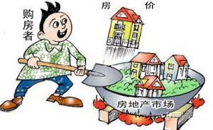 小产权房(农民集体土地上建设的房屋)