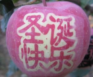 平安果(圣诞节的苹果)