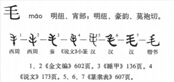 毛(汉语汉字)