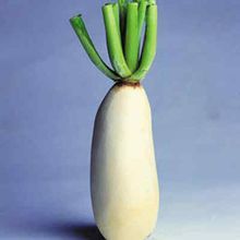 五行蔬菜汤(立石和先生发明的菜品)
