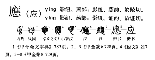 应(汉语汉字)