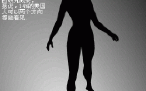 右脑型思维者(用右脑且右脑比左脑发达的人)