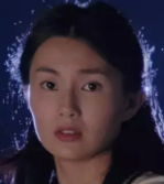 宋家皇朝(1997年张婉婷执导的电影)