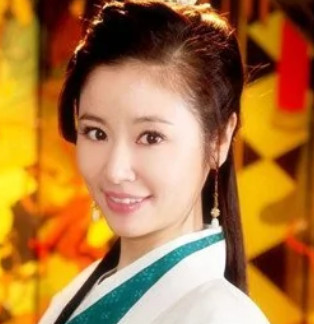 倾世皇妃(2011年梁辛全、林峰联合执导的电视剧)