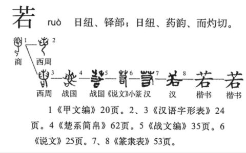 若(汉语汉字)