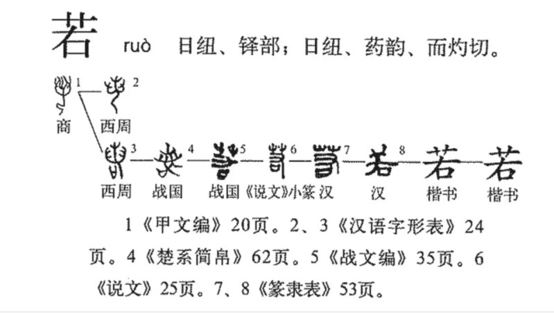 若(汉语汉字)