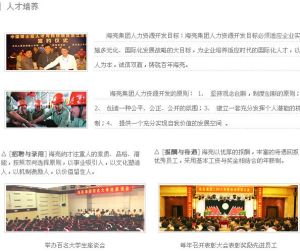 海亮集团有限公司(上市公司)