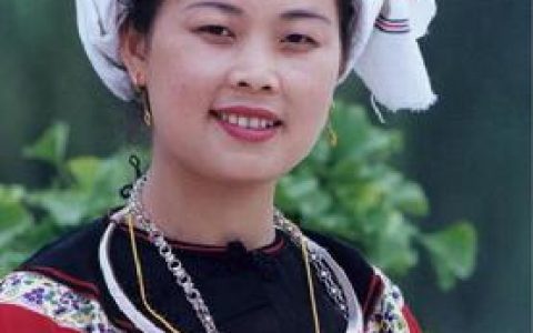 水族(中国少数民族之一)