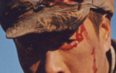 烈火金刚(2003年王奕开执导的电视剧)