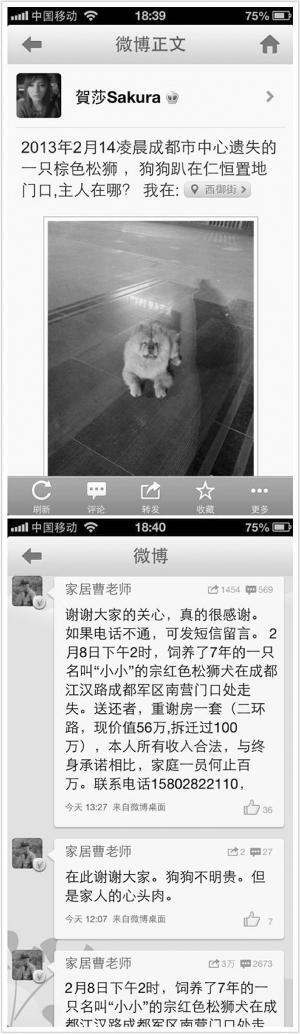 找狗去(网络用语)