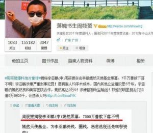嫣然天使基金(专项公益基金会)