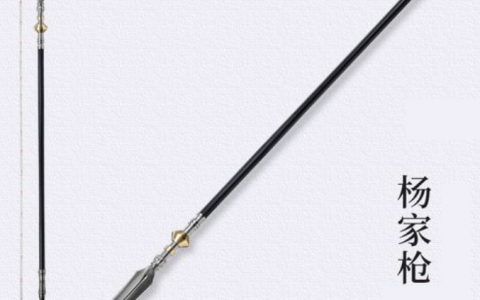 长枪(在长柄上装有锐利尖头的兵械)