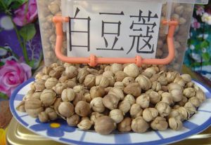 白蔻仁(姜科多年生草本植物白豆蔻的果实)
