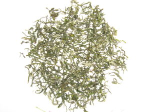 洞庭碧螺春(中国十大名茶之一)
