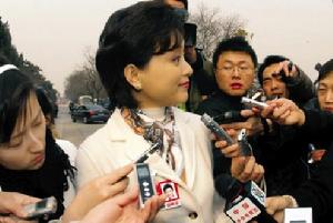 雷人提案(两会代表所提出的荒谬的提案)
