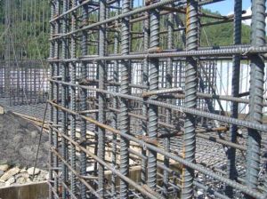 箍筋(建筑材料)