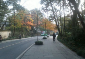 玉泉路(北京西四环外道路)