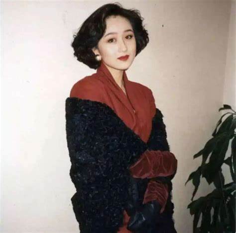 利智(中国香港女演员)