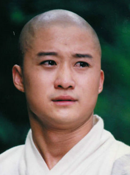 少林武王(2002年刘家成、吴家骀执导的电视剧)