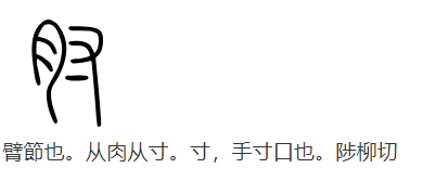 肘(汉语汉字)