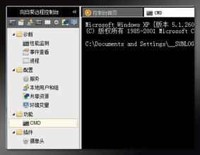 向日葵远程控制(一款支持多平台的远程控制的软件程序)