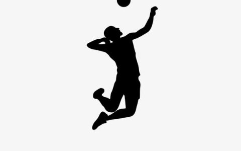 体育运动(用于强身健体的各种活动)