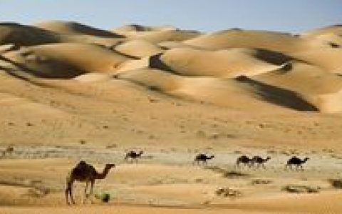 阿拉伯音乐(起源于阿拉伯民族的音乐)