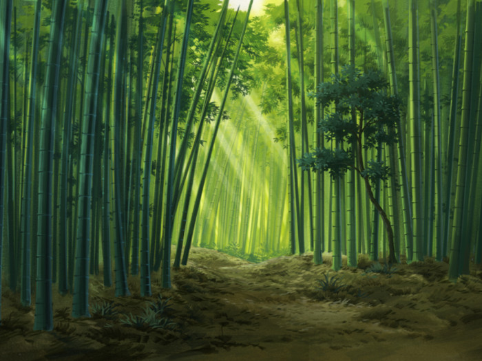 竹林(由竹类植物组成的单优势种群落)