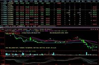 暴仓(金融证券中客户权益为负值的现象)