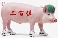 二百五(贬义词)