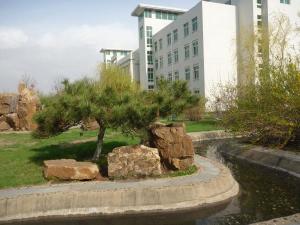 沈阳化工大学(公立大学)