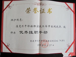 挂职(汉语词语)