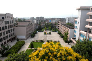 大竹中学(四川省首批办好的十所重点学校)
