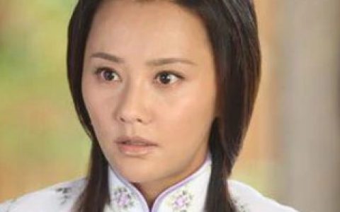 谁知女人心(2010年何丽萍执导的电视剧)