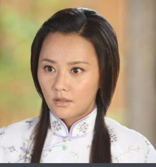 谁知女人心(2010年何丽萍执导的电视剧)