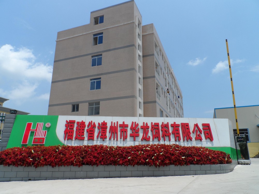 华龙集团(国家大型二档企业集团)