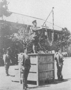 坂垣师团(日本编组师团)