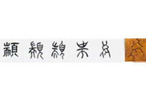 颛(汉语汉字)