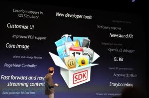 SDK(建立应用软件的开发工具的集合)