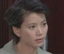 法内情2002(2002年萧若元、郑伟文执导电视剧)