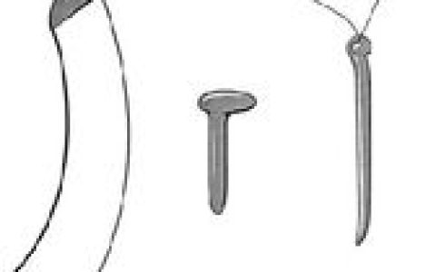 阉割(刑法手段)