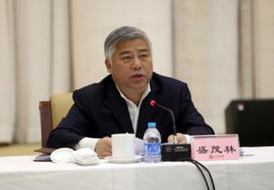 盛茂林(天津市政协主席、党组书记)