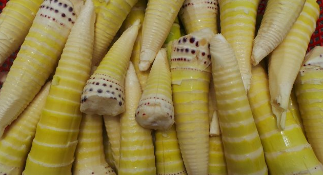 酸笋(南雄传统的调味佳品)