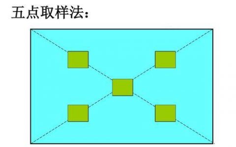 五点取样法(生物学知识)