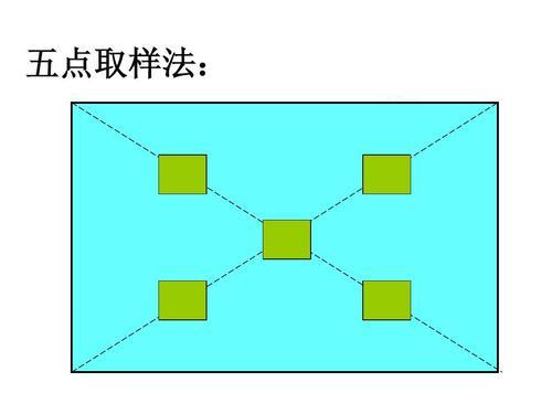 五点取样法(生物学知识)