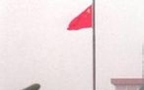 下半旗(公众表示哀悼的重要礼节)