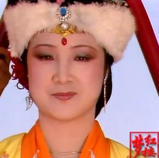 南安太妃(古典小说《红楼梦》中的人物)
