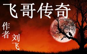 飞哥传奇(香港电影)